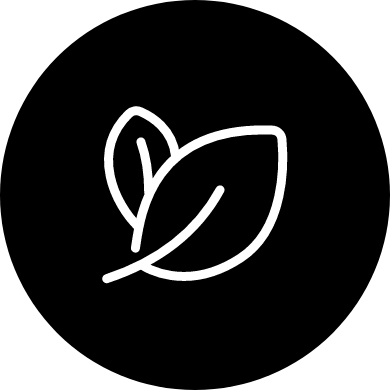 Plant-Based Caffeine Icon